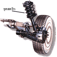 sus-15